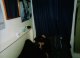 Nicks Room -1- (Anna)